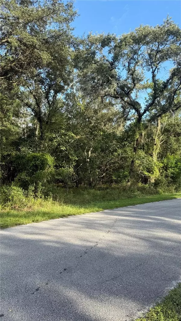 Dunnellon, FL 34431,TBD SW WILLOW RD EXT