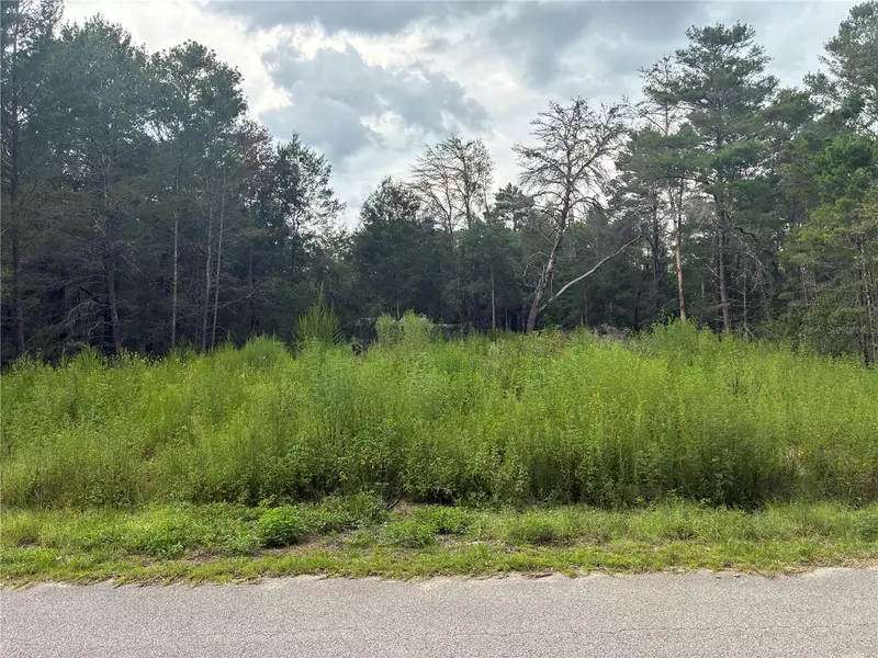 MOINES CT, Dunnellon, FL 34434