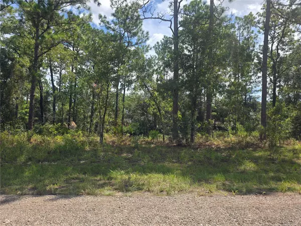Dunnellon, FL 34434,7441 N JUNE TER