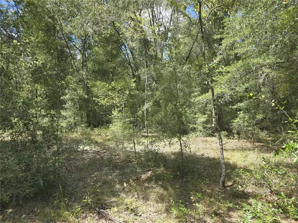 Williston, FL 32696,00 NE 150TH TER