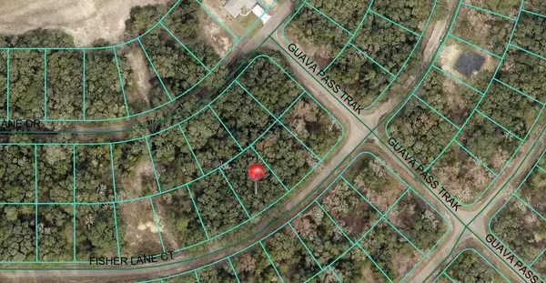 Ocklawaha, FL 32179,56 FISHER LANE CT