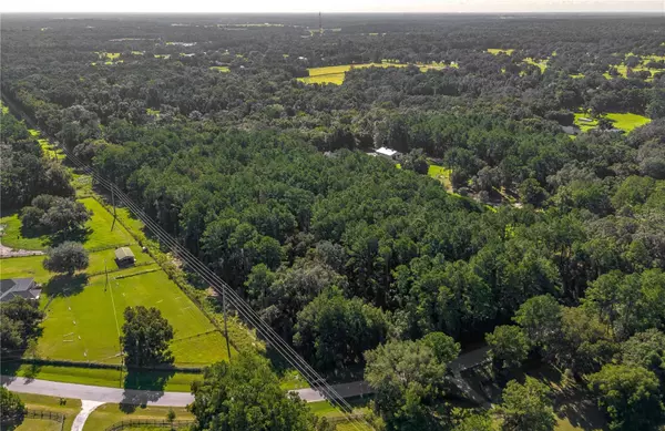 Reddick, FL 32686,TBD NW 88TH AVENUE RD