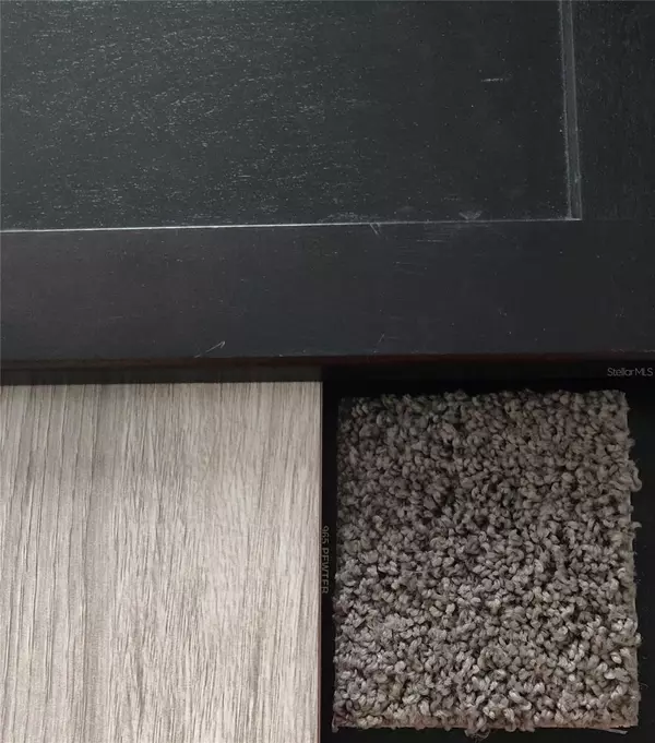 Weeki Wachee, FL 34614,12029 SEABIRD AVE