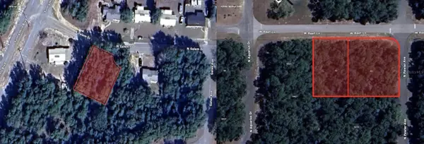 Citrus Springs, FL 34434,40 W REEF LN