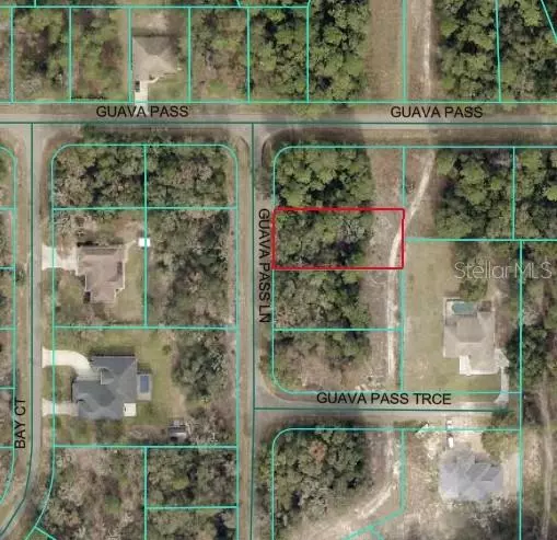 GUAVA PASS LN, Ocklawaha, FL 32179
