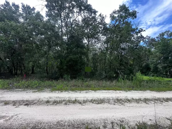 Williston, FL 32696,155TH TER NE