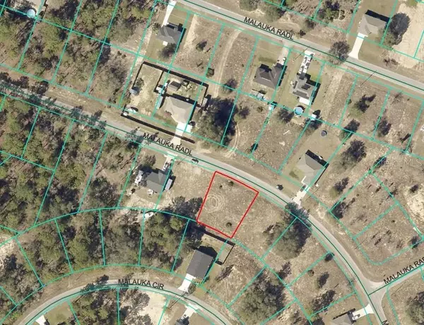 Ocklawaha, FL 32179,MALAUKA RADL