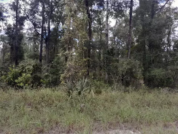 Old Town, FL 32680,TBD NE 292ND AVE