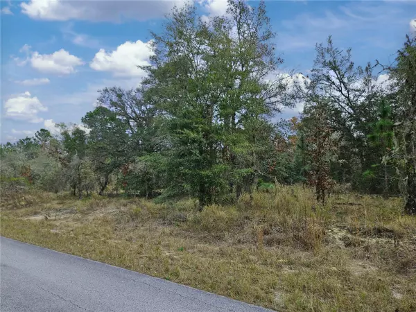 Dunnellon, FL 34431,1281 SW VIBURNUM RD