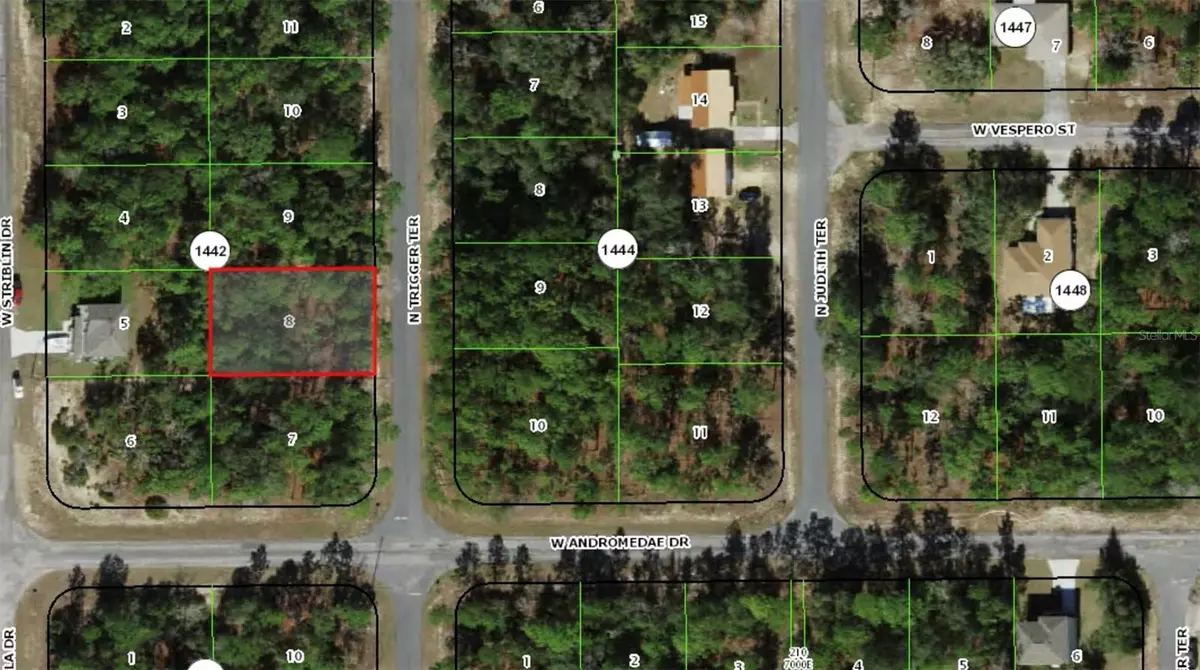 Citrus Springs, FL 34433,11032 N TRIGGER TER