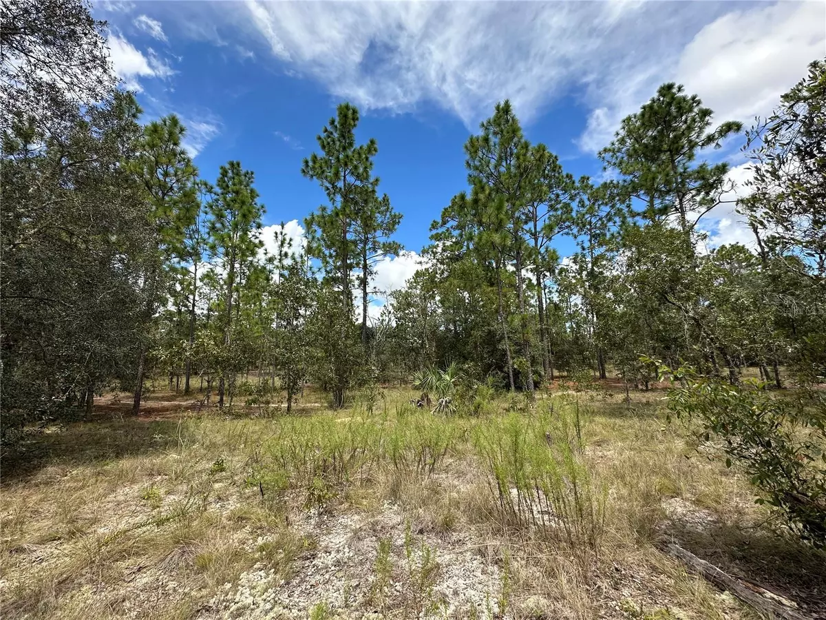 Dunnellon, FL 34431,Address not disclosed