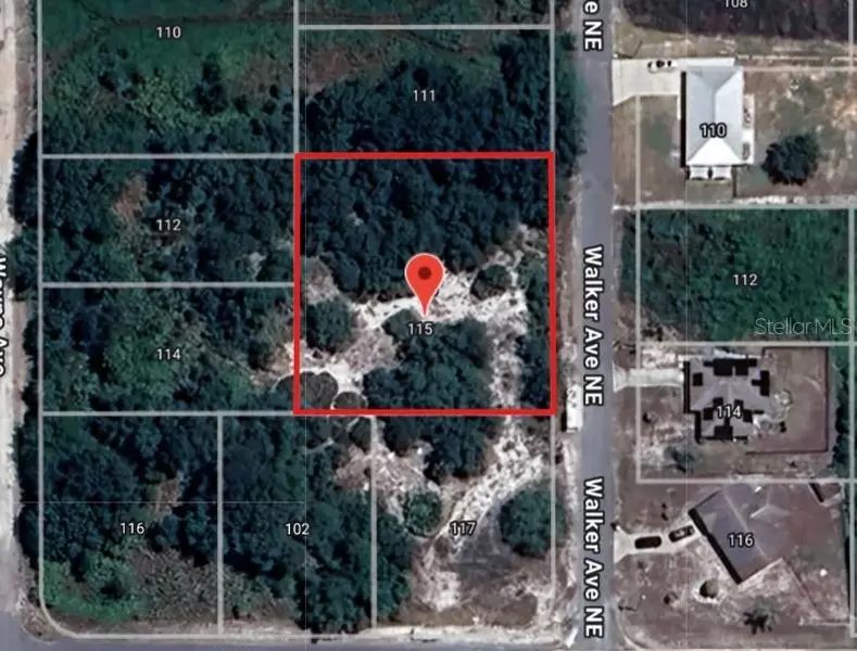 113 WALKER AVE NE, Lake Placid, FL 33852