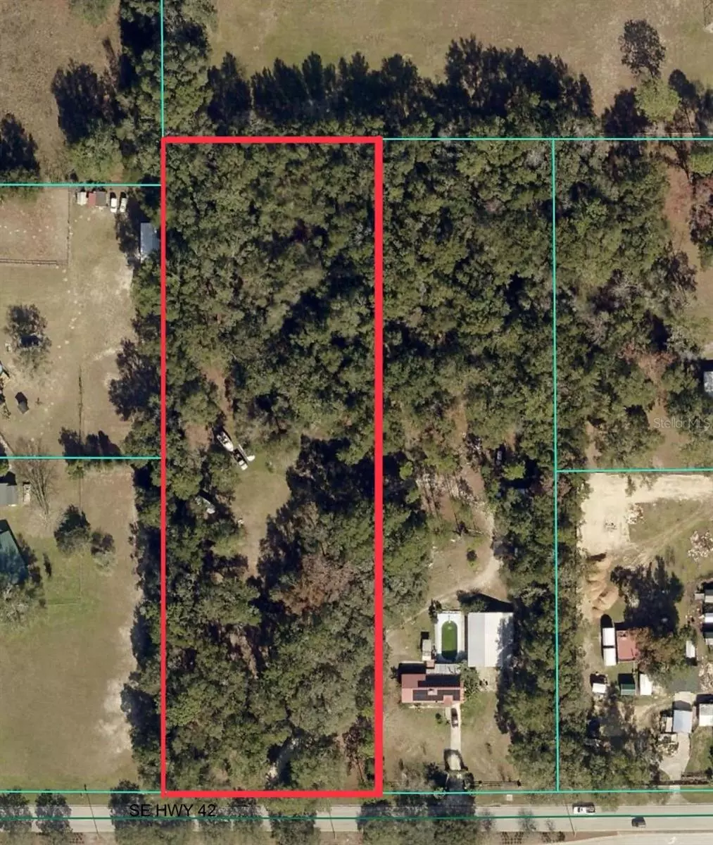 Summerfield, FL 34491,TBD SE HWY 42