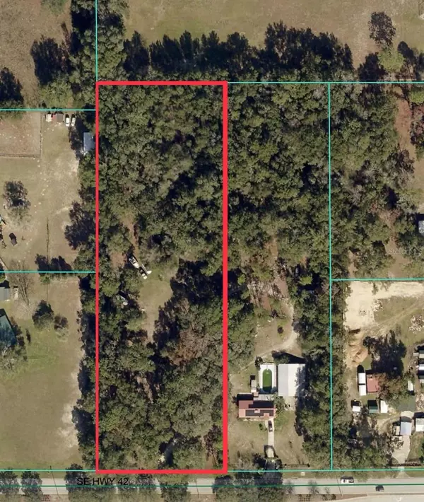 TBD SE HWY 42, Summerfield, FL 34491