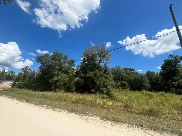 Ocala, FL 34481,Lot 6 SW 141 TER