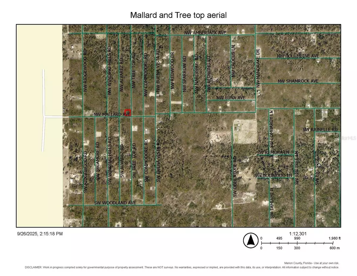 Dunnellon, FL 34431,0 NW TREE TOP RD