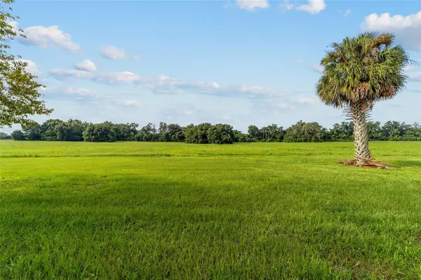 Reddick, FL 32686,17176 N US HIGHWAY 441