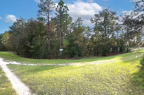 Dunnellon, FL 34432,00 TBD SW 88TH ST