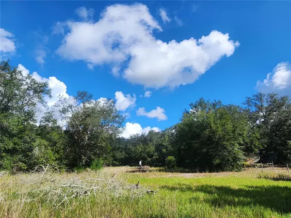 Melrose, FL 32666,217 LAKEVIEW DR