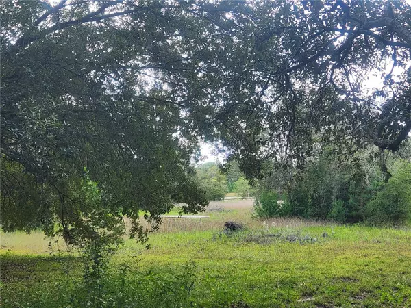 Melrose, FL 32666,217 LAKEVIEW DR