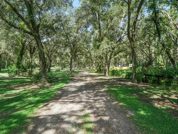 Weirsdale, FL 32195,17244 SE 130TH AVE