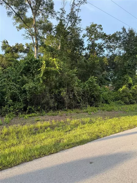 TBD SE 83RD CT, Summerfield, FL 34491