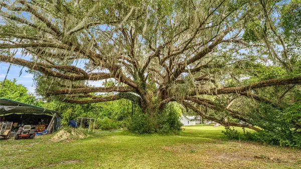 High Springs, FL 32643,19036 NW 246TH ST