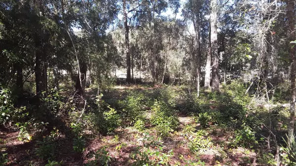 15, 17, and 19 65TH ST, Yankeetown, FL 34498