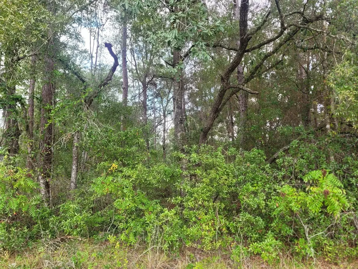Citrus Springs, FL 34434,9858 N JOURDEN DR