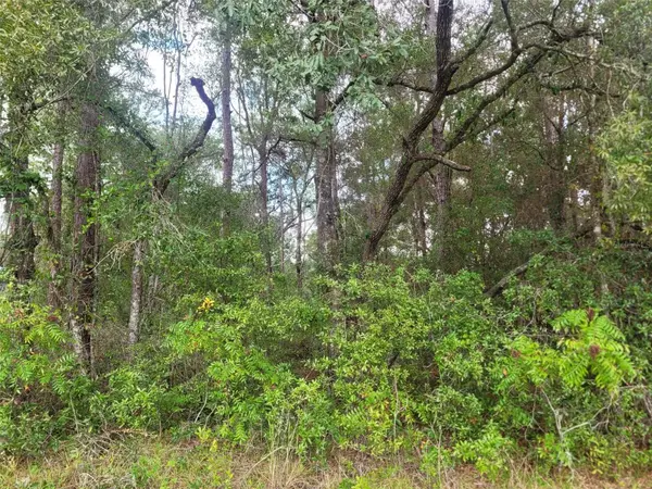 9858 N JOURDEN DR, Citrus Springs, FL 34434