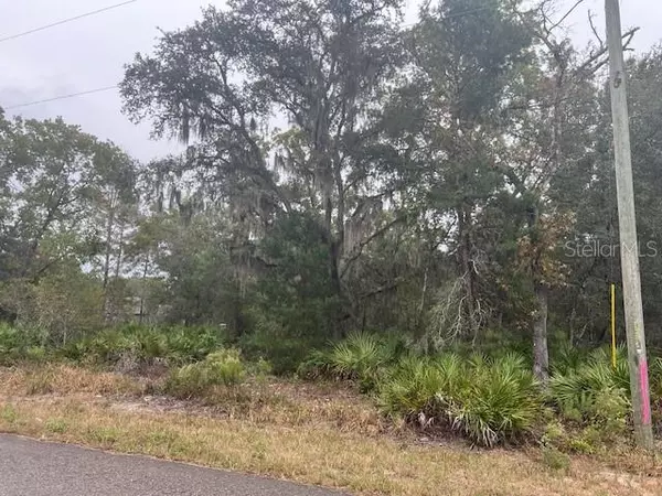 Ocklawaha, FL 32179,TBD GUAVA PLACE - LOT 3 DR