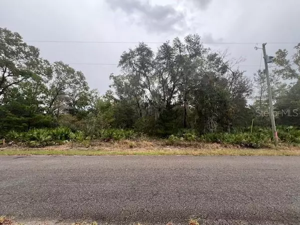 Ocklawaha, FL 32179,TBD GUAVA PLACE - LOT 3 DR