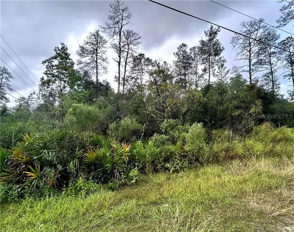 Beverly Hills, FL 34465,6480 N PUEBLO TER