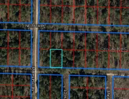 NE 15TH LANE, Williston, FL 32696