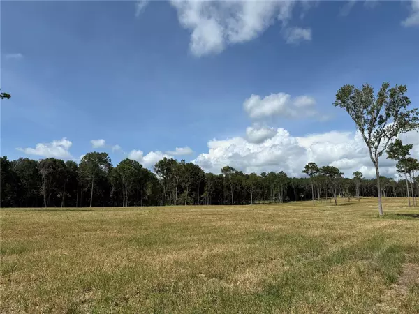 Micanopy, FL 32667,DR #5 (24ac) NW 193RD ST