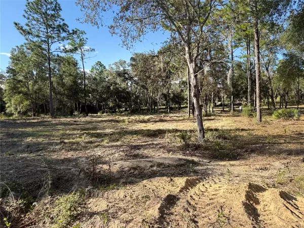 Archer, FL 32618,11491 NE 109TH PL