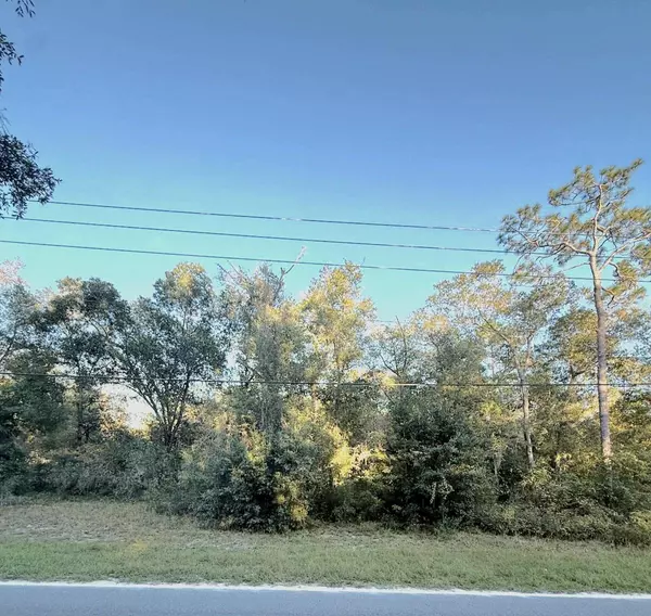0 KEUKA RD, Interlachen, FL 32148