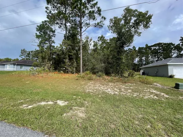 Ocala, FL 34473,0 SW 131ST LN