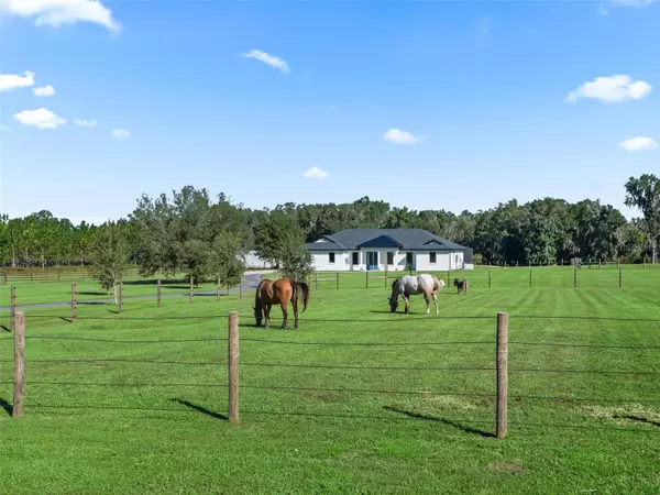 Reddick, FL 32686,9209 W HIGHWAY 316