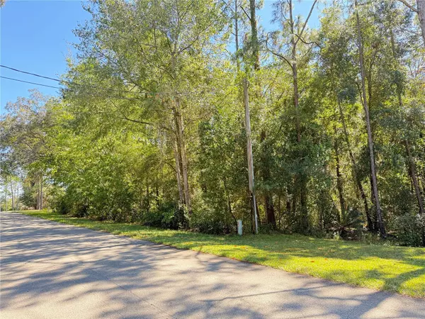 Hernando, FL 34442,1188 W PEARSON ST