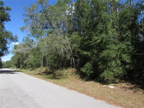 Dunnellon, FL 34431,Lot 13 SW 87TH LOOP