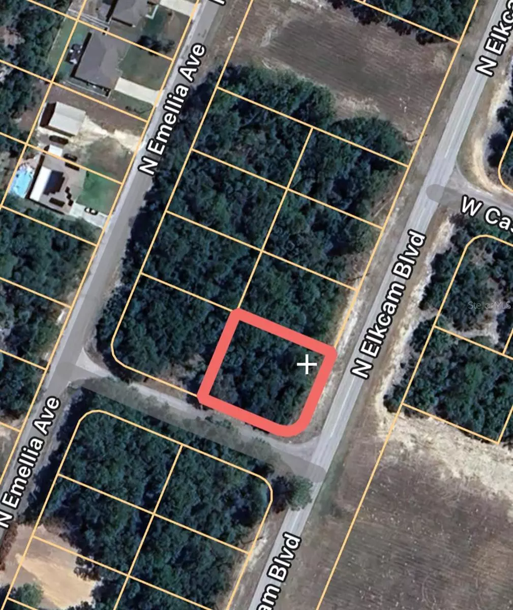 Citrus Springs, FL 34433,9506 N ELKCAM BLVD