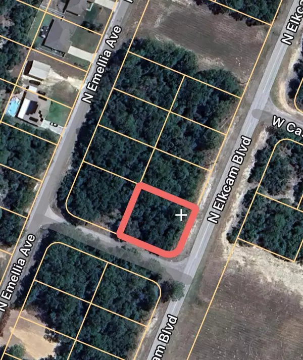 9506 N ELKCAM BLVD, Citrus Springs, FL 34433