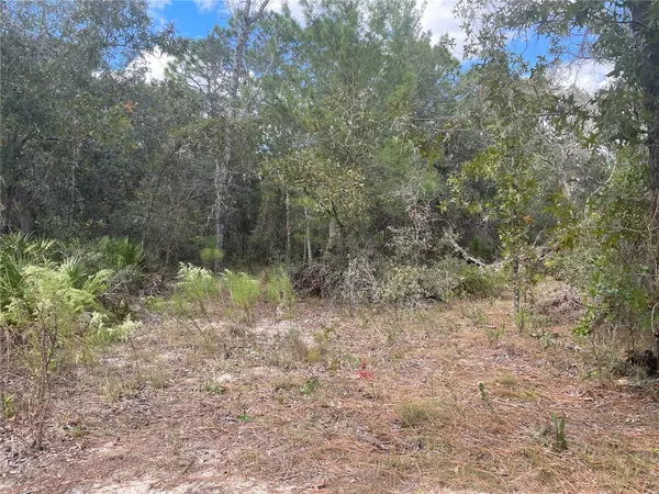 Homosassa, FL 34448,5611 W ROCHELLE ST