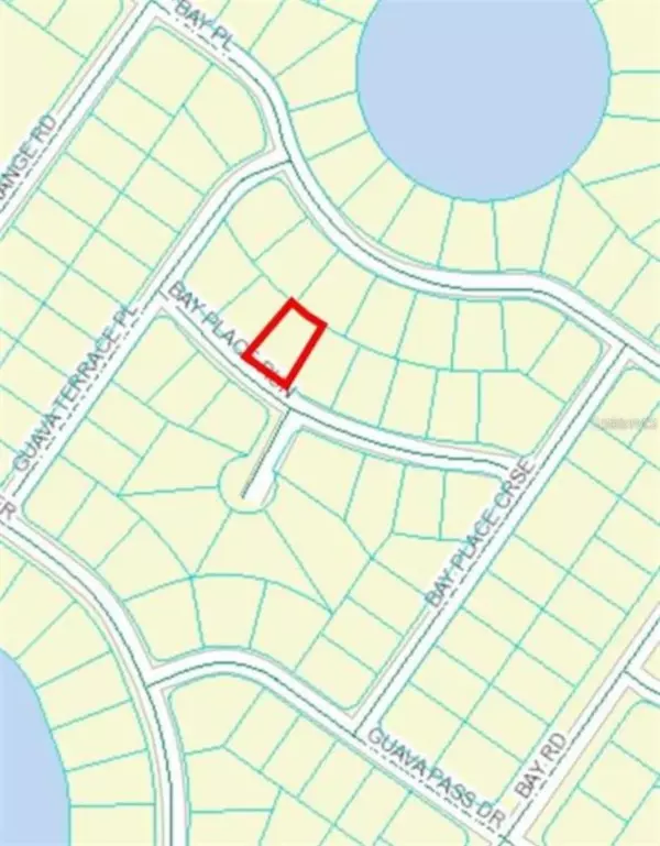 Ocklawaha, FL 32179,00 BAY PLACE WAY