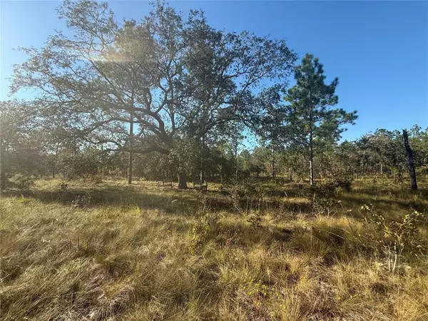 Morriston, FL 32668,00 SE 73RD LN