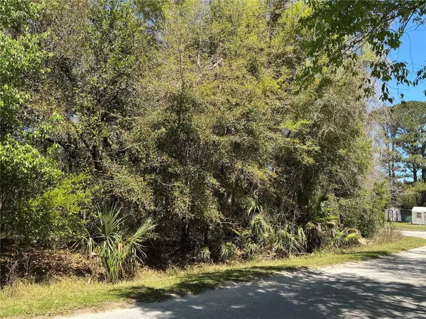 Summerfield, FL 34491,0 SE 139TH LN
