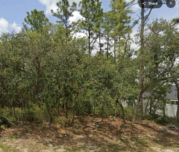Lot 2 SW 144TH LN, Ocala, FL 34473