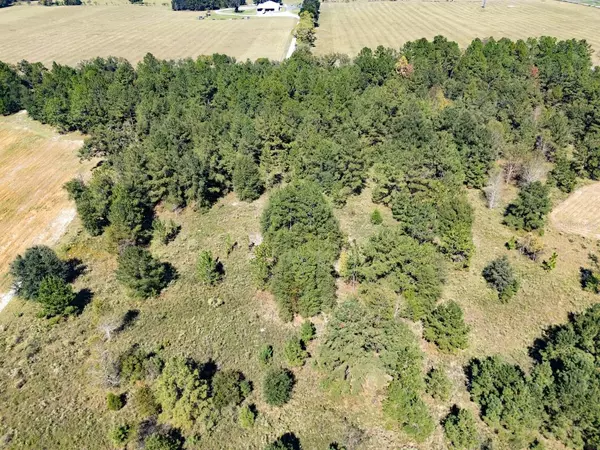 Williston, FL 32696,000 NE 75 ST
