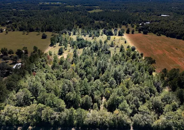 000 NE 75 ST, Williston, FL 32696